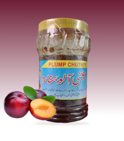 Plum Chutney 500g