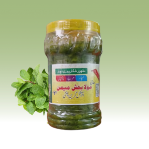 GREEN CHUTNEY 500g